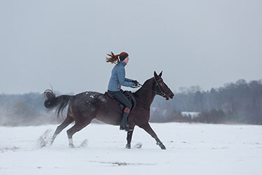 equine-hooves-winter