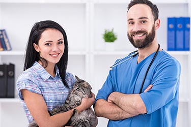 7-tips-increase-vet-sales