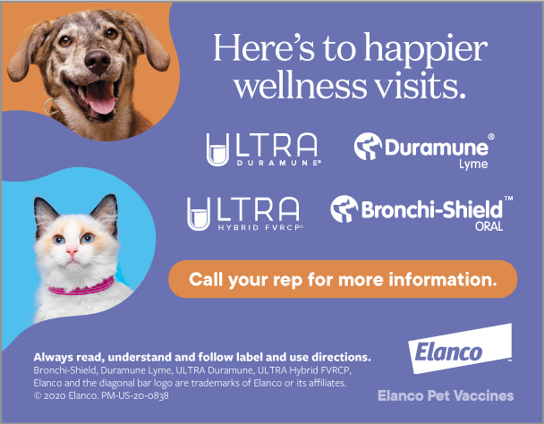 feline ultranasal fvrcp vaccine