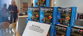 heartgard-display
