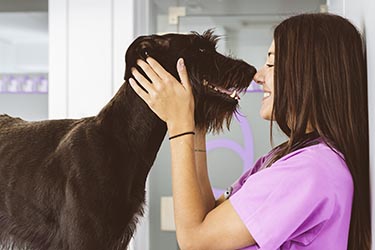 hiring-veterinary-staff-recruiting-tips
