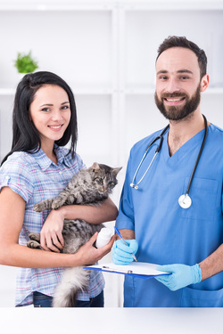 hsah-cats-medications