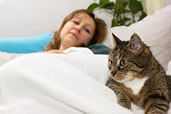 hsah-noticing-distress-in-pets-250w