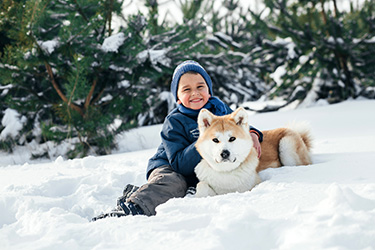 Keep Pets Safe in Winter Weather