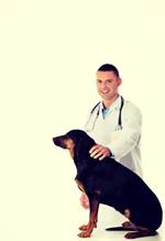 large-dog-with-vet